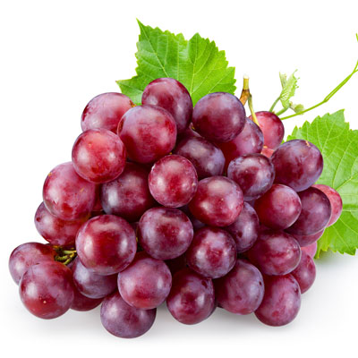 italian grape