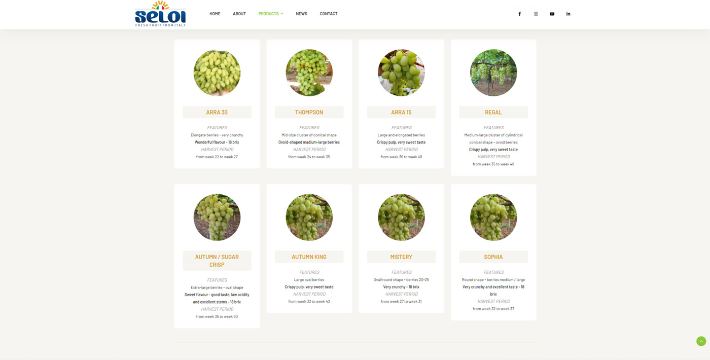 new seloi website fruit export